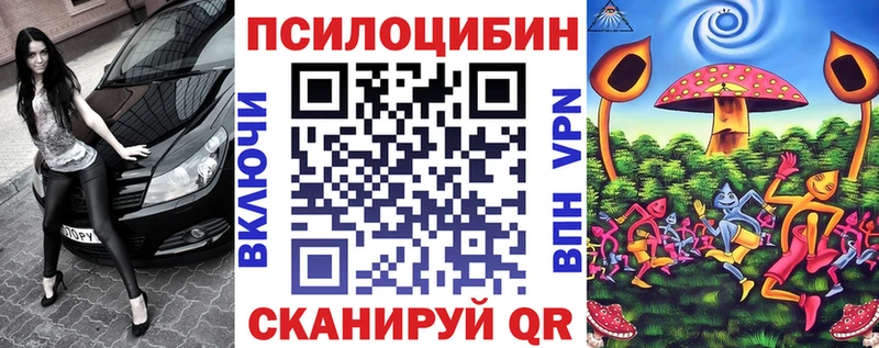 Купить  Медвежьегорск  Галлюциногенные грибы Cubensis 